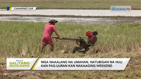 NATUBIGAN (Tagalog).